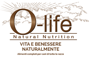 Logo O-Life
